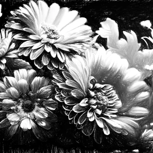 pencil-sketch-art-decoration-poster-drawings